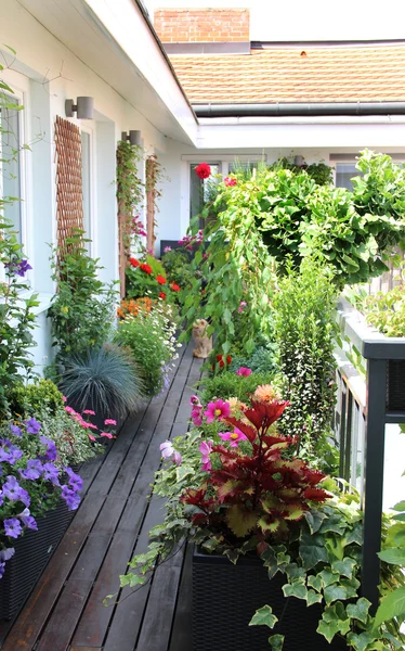 Schöne Hausterrasse mit vielen Blumen — Stockfoto