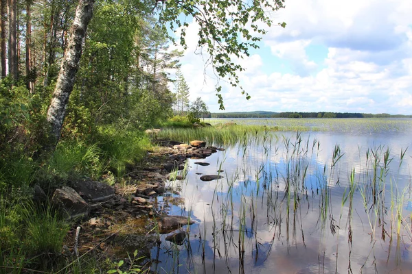 Wunderschöne Wälder und Seen Finnlands — Stockfoto