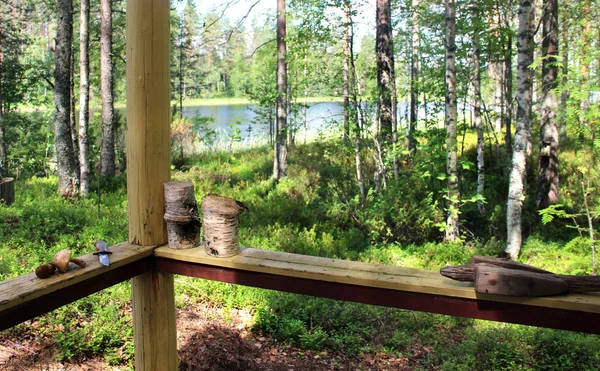 Colheita de cogumelos na Finlândia — Fotografia de Stock