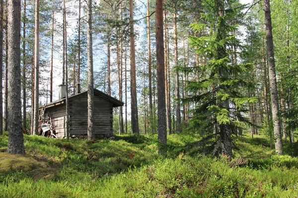 핀란드의 아름 다운 자연 — 스톡 사진