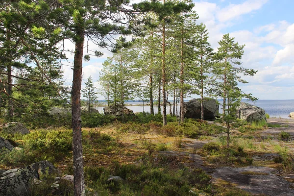 Bella natura selvaggia della Finlandia — Foto Stock