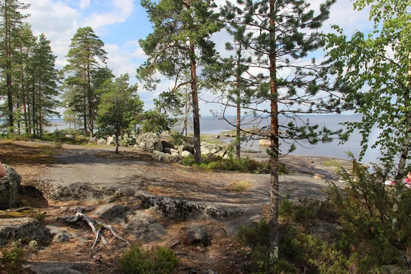 Beautiful wild nature of Finland