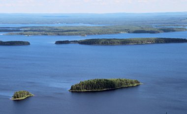 Beautiful nature of Finland, Koli clipart
