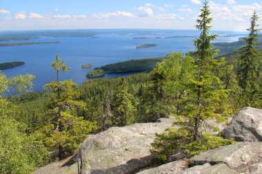 Finlandiya, Koli güzel doğa