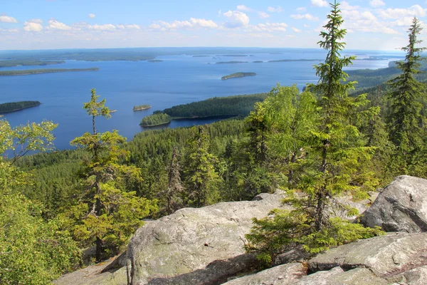 Krásná příroda, Finska, Koli — Stock fotografie