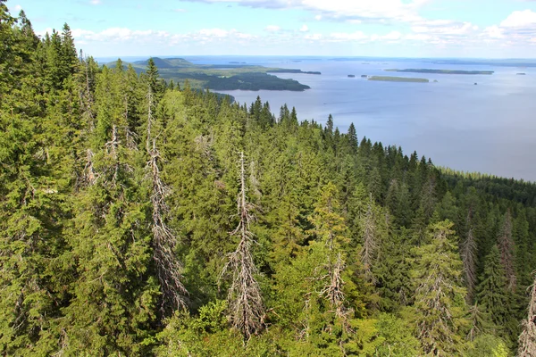 Vackra naturen i Finland, Koli — Stockfoto
