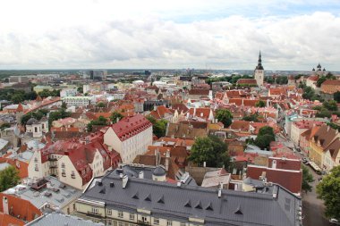 Güzellikler Tallin, Estonya