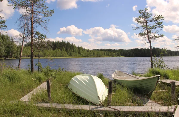 Schöne Wälder Finnlands — Stockfoto