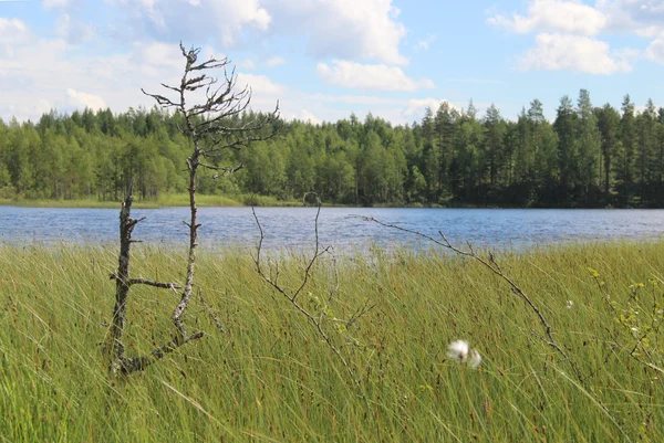 Schöne Natur Finnlands — Stockfoto