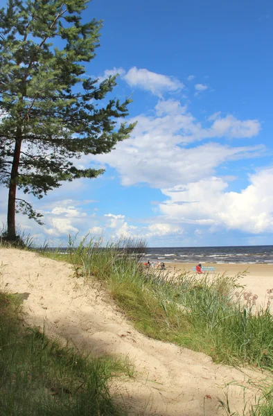 Mooie stranden van de Baltische Zee — Stockfoto