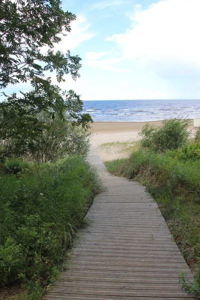 Mooie stranden van de Baltische Zee — Stockfoto