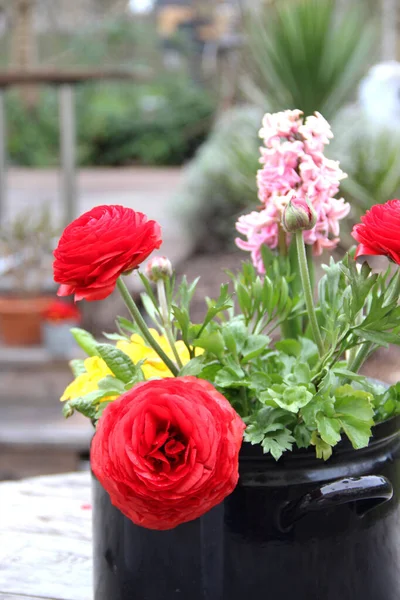 Jardín Con Hermoso Diseño Paisajístico Flores — Foto de Stock