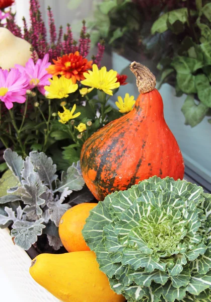 Mezcla de hermosas flores en el jardín de la terraza de otoño — Foto de Stock