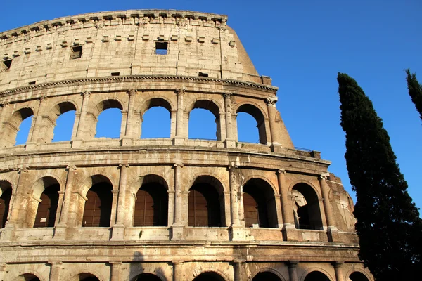 Coliseum güzel görünümü — Stok fotoğraf