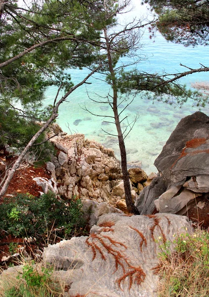 Wild prachtige natuur en zee in Kroatië — Stockfoto