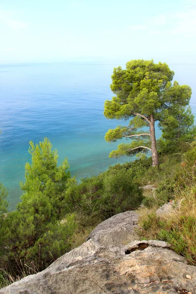 Vilda vackra natur och i Kroatien — Stockfoto