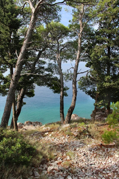 Дикі красивою природою і море в Хорватії — стокове фото