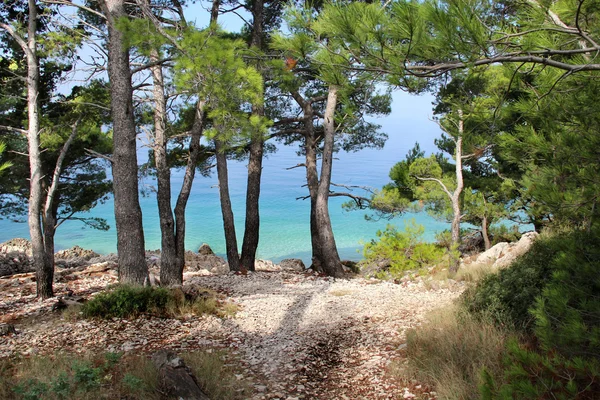 Natureza bonita selvagem e mar na Croácia — Fotografia de Stock