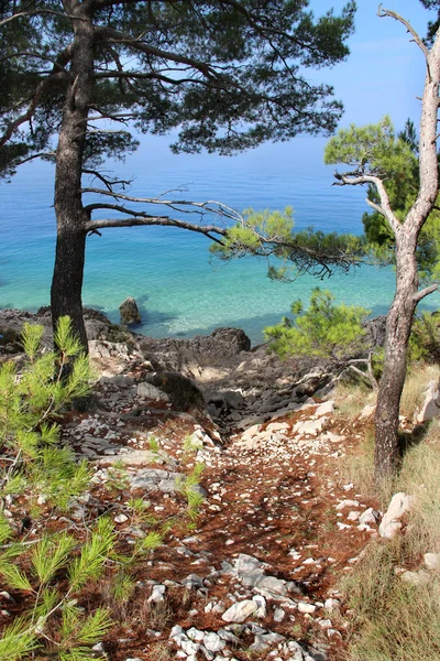 Vilda vackra natur och i Kroatien — Stockfoto