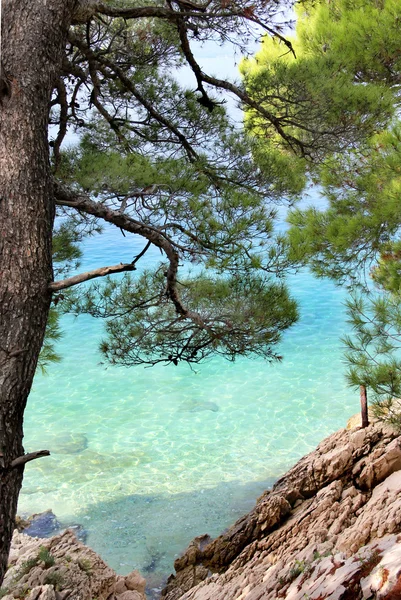 Divoký krásná příroda a moře v Chorvatsku — Stock fotografie