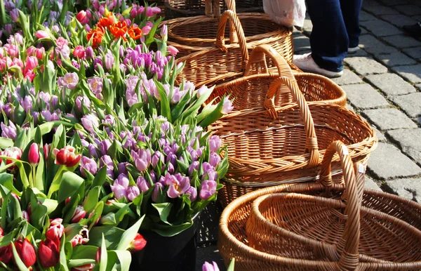 Mercado com muitas tulipas — Fotografia de Stock