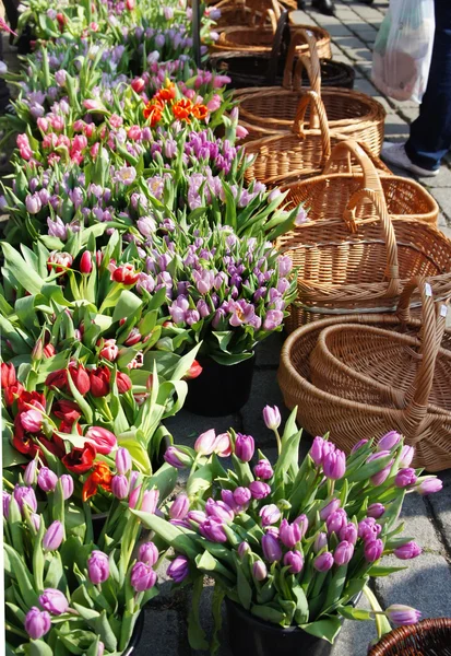 Mercado con muchos tulipanes — Foto de Stock
