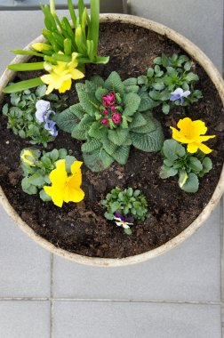 Bahar karışımı ile güzel modern Teras