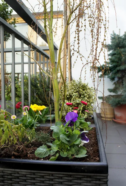 Bella terrazza moderna con mix di primavera — Foto Stock