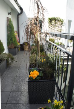 Bahar çiçekleri karışımı ile güzel modern Teras