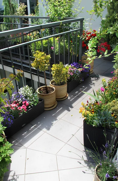 Schöne moderne Terrasse mit einer Mischung aus Sommerblumen — Stockfoto
