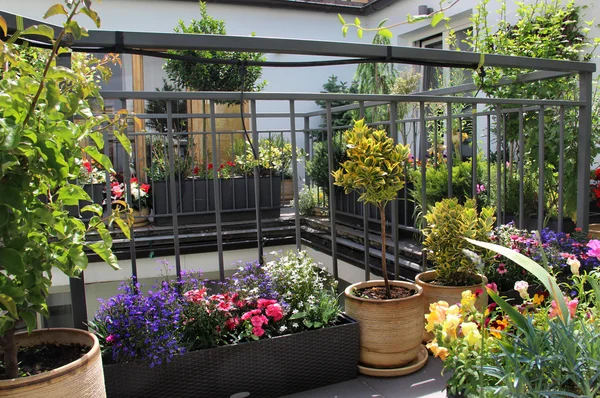 Bella terrazza moderna con mix di fiori estivi — Foto Stock