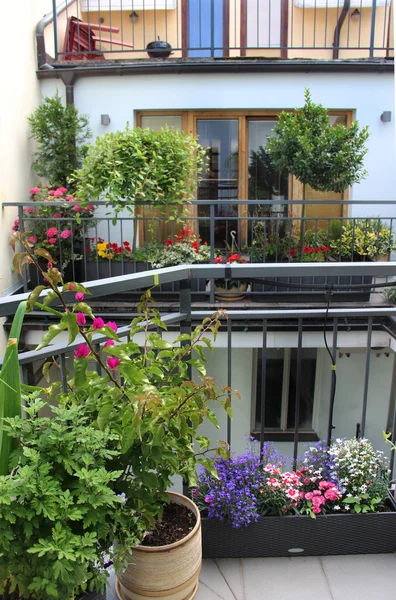 Hermosa terraza moderna con mezcla de flores de verano — Foto de Stock