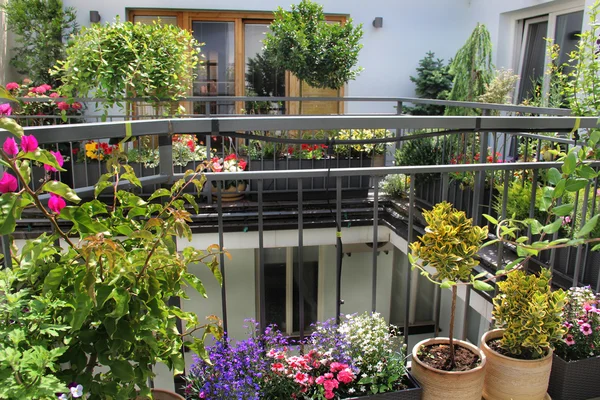 Schöne moderne Terrasse mit einer Mischung aus Sommerblumen — Stockfoto