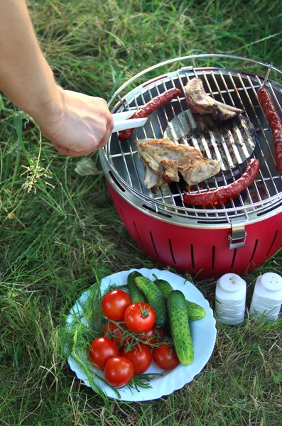 Zomer grillen op de aard — Stockfoto