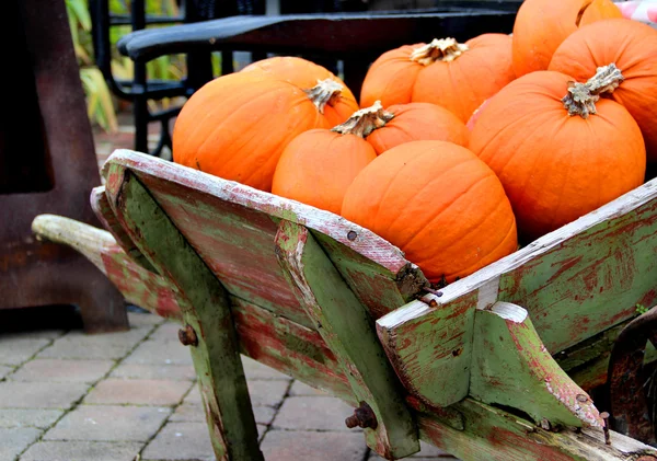 Большая смесь Хэллоуин тыквы, осень — стоковое фото