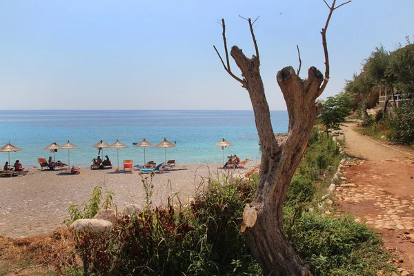 Niesamowite plaże Dhermi, Albanii — Zdjęcie stockowe