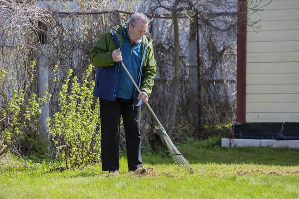Moscow region, Russia: May 05, 2021: an elderly man rakes the lawn at a country house in the spring. Combing the lawn with a fan rake is a pleasant and energetic activity. After winter, any lawn needs care.