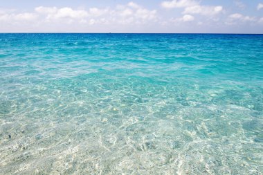 plaj ve tropikal deniz