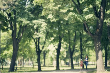 Ufuk arka plan bahar ya da yaz sezonu Park