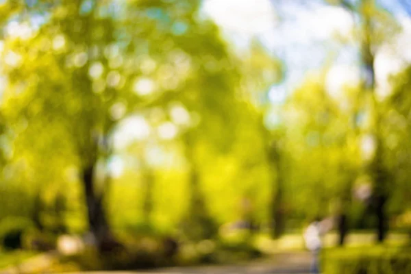 Natural bokeh background of people walking in  park. — Stock Photo, Image