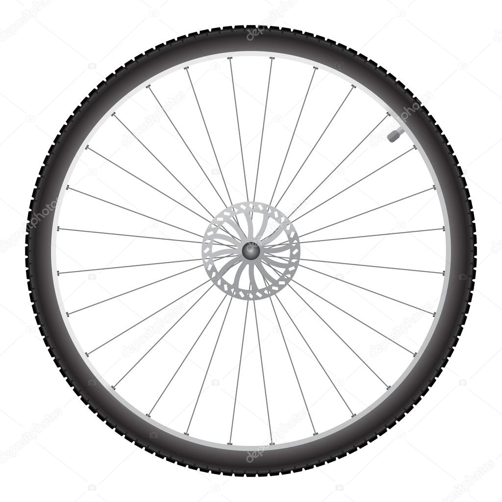 Bicycle wheel, vector