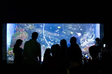 S.E.A. akvaryum, Singapore