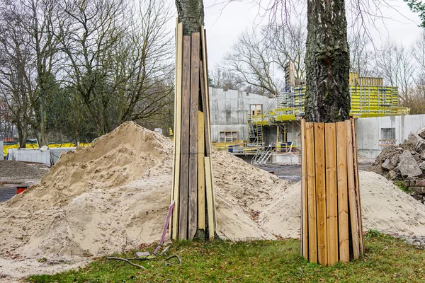 Tree trunks on a construction site covered with boards to protect them from damage — Stockfoto