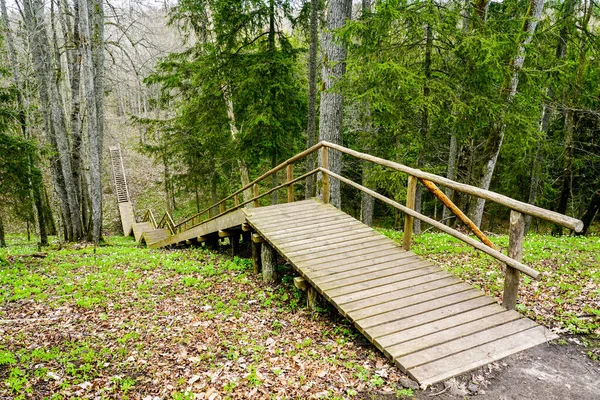 Largas Escaleras Madera Para Los Visitantes Del Parque Natural Para —  Fotos de Stock