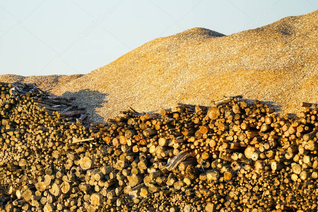 large piles of firewood logs and pyramid of wood chips in storage yard