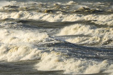 Büyük fırtına dalgaları Baltık Denizi 'ni kasıp kavuruyor. Köpüklü sörf, sert su ve güçlü rüzgar dramatik kıyı havası.