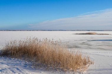 Liepaja Gölü 'nün soğuk suları, kuru kamışları ve sakin mavi gökyüzü altında ince buz dokuları ile sakin Baltık doğasını yakalıyor.