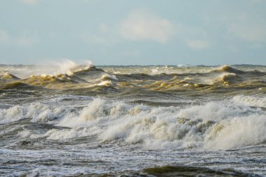Baltık Denizi 'nde şiddetli bir fırtına sırasında dev dalgalar çarpar ve kükrer. Okyanus kabarmaları ve rüzgarla çalışan sprey, Letonya kıyılarında dramatik deniz gücü gösteriyor.