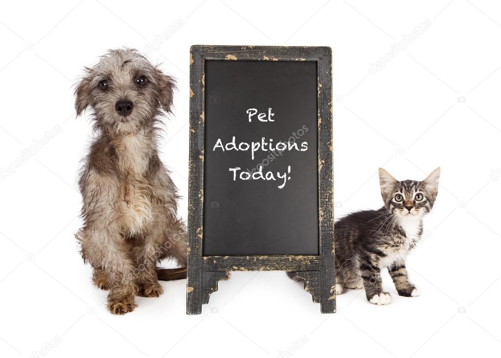 Rescue Pets With Adoption Event Sign