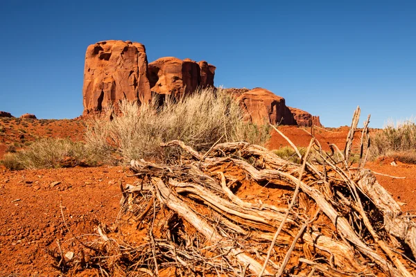 赤い岩の砂漠 — ストック写真